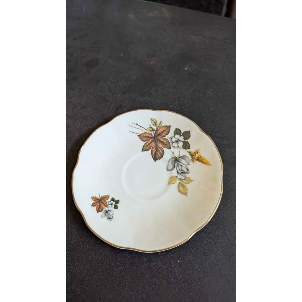 Royal Dover Vintage Bone China Teacup and Saucer Set Made in England