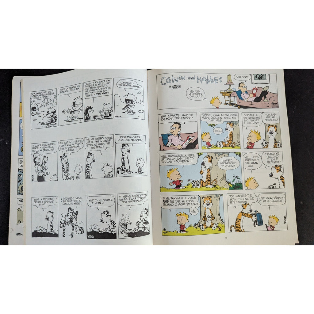 The Essential Calvin and Hobbes: A Calvin and Hobbes Treasury Paperback Book