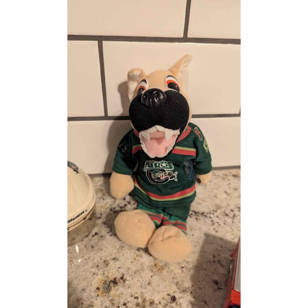 Vintage Houston Aeros Hockey Memorabilia Lot - IHL/AHL Chilly K-9 & Zambonis
