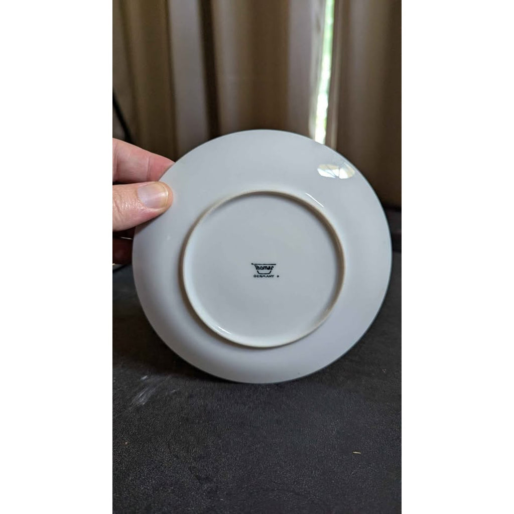 Vintage Bavarian Fine China Floral Collector Plate