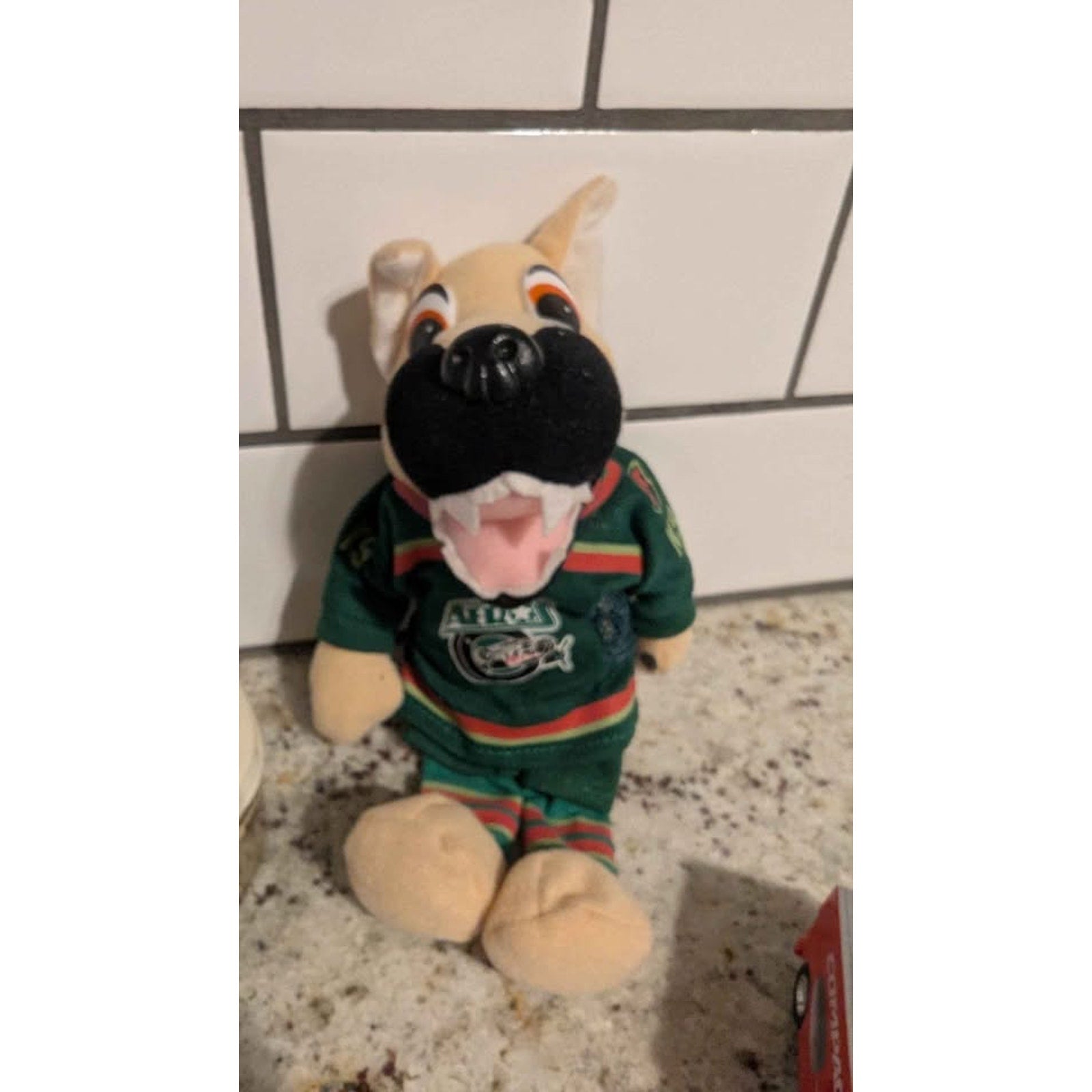 Vintage Houston Aeros Hockey Memorabilia Lot - IHL/AHL Chilly K-9 & Zambonis