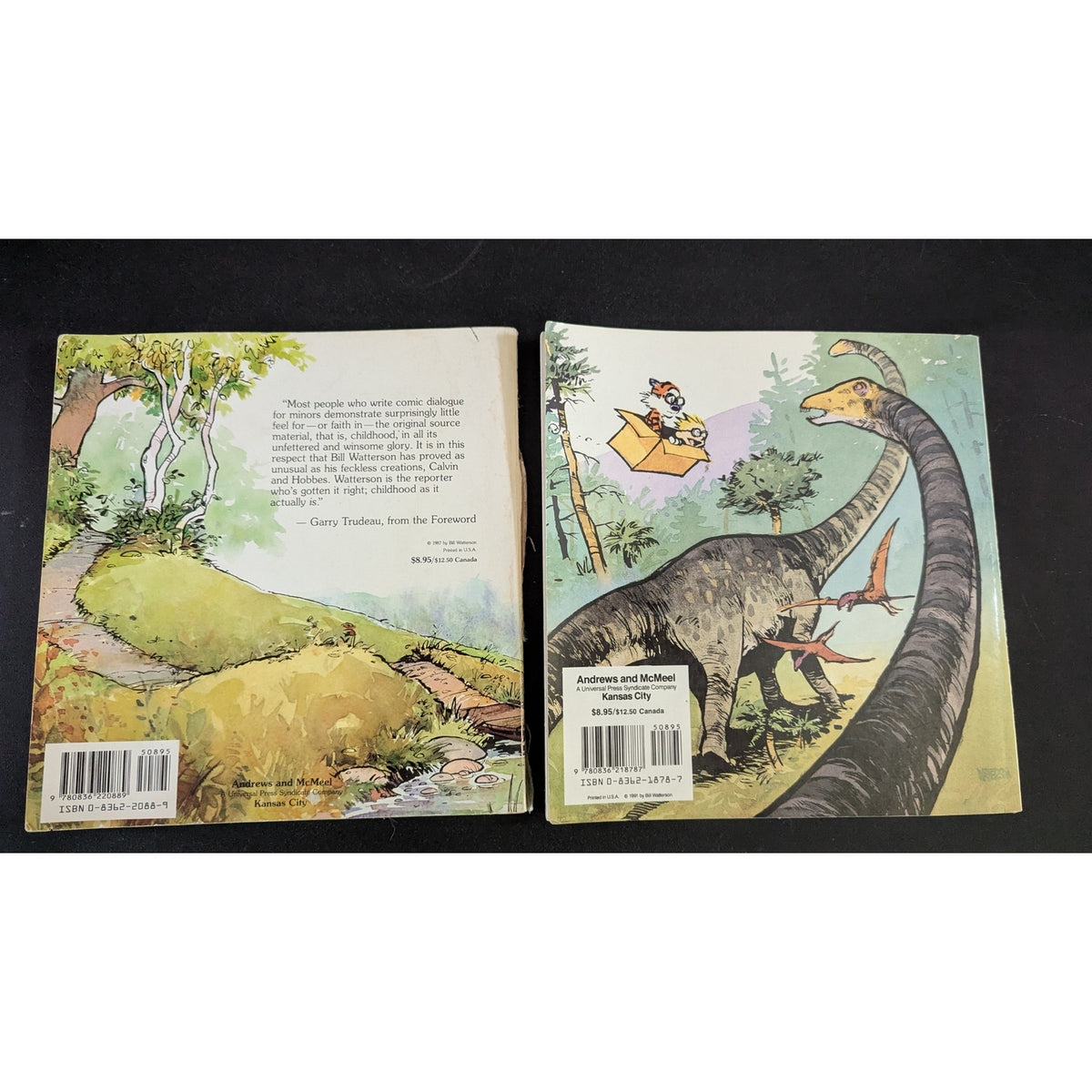 Vintage Calvin and Hobbes Book Lot of 2 – Debut Album & Scientific Progress Goes "Boink" – Read Description For Condition