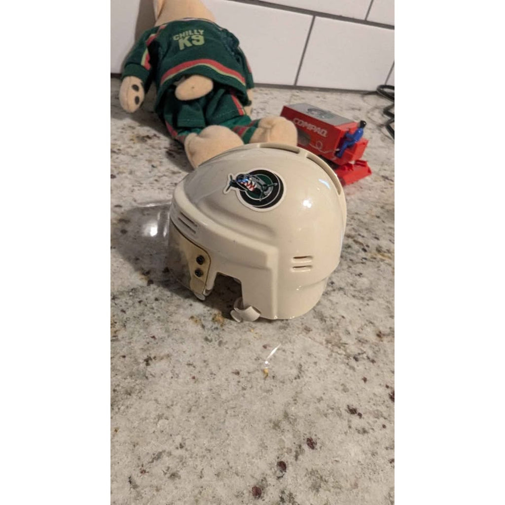 Vintage Houston Aeros Hockey Memorabilia Lot - IHL/AHL Chilly K-9 & Zambonis