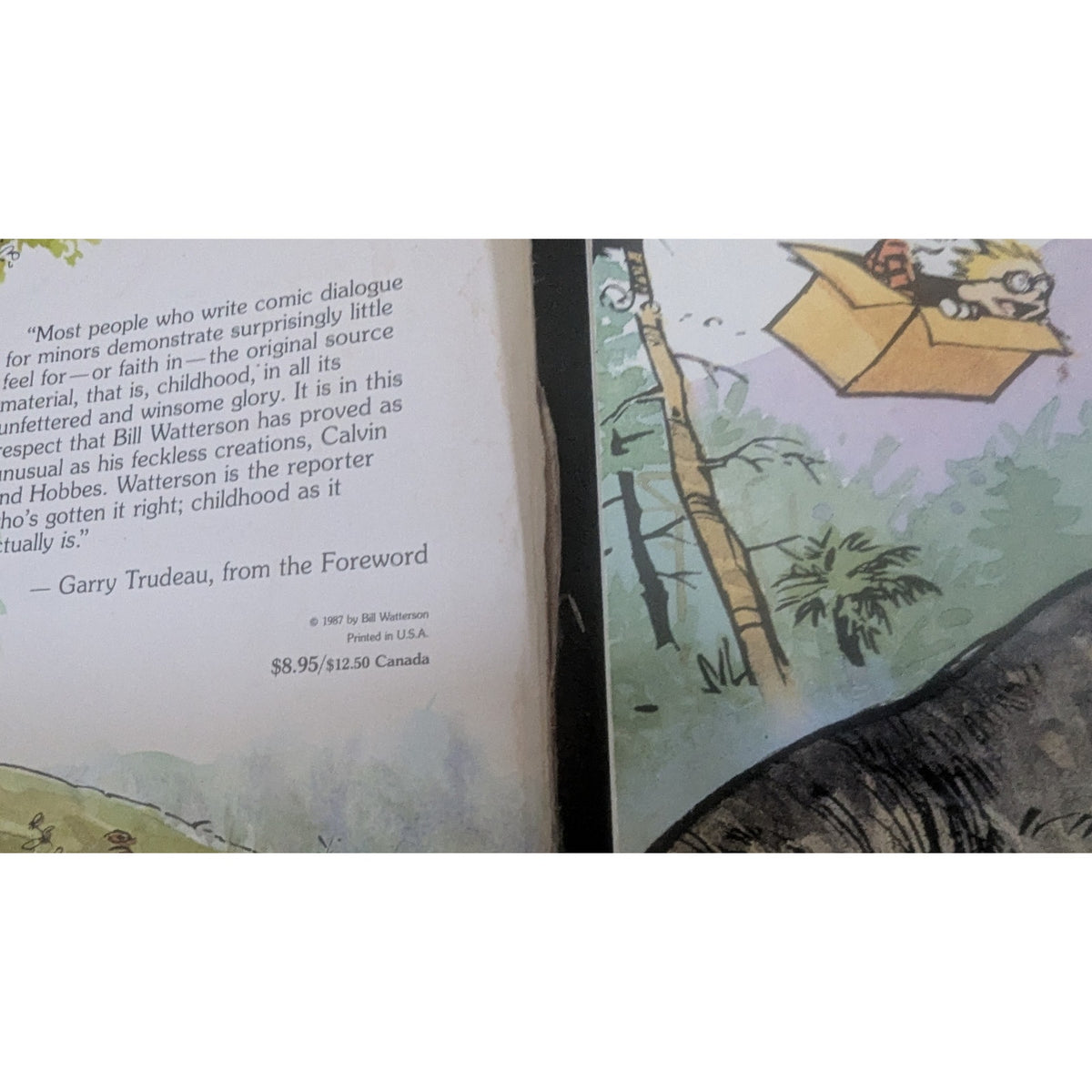 Vintage Calvin and Hobbes Book Lot of 2 – Debut Album & Scientific Progress Goes "Boink" – Read Description For Condition