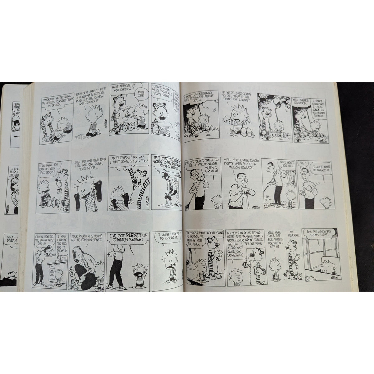 The Essential Calvin and Hobbes: A Calvin and Hobbes Treasury Paperback Book
