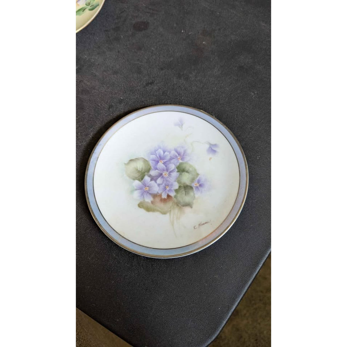 Vintage Bavarian Fine China Floral Collector Plate
