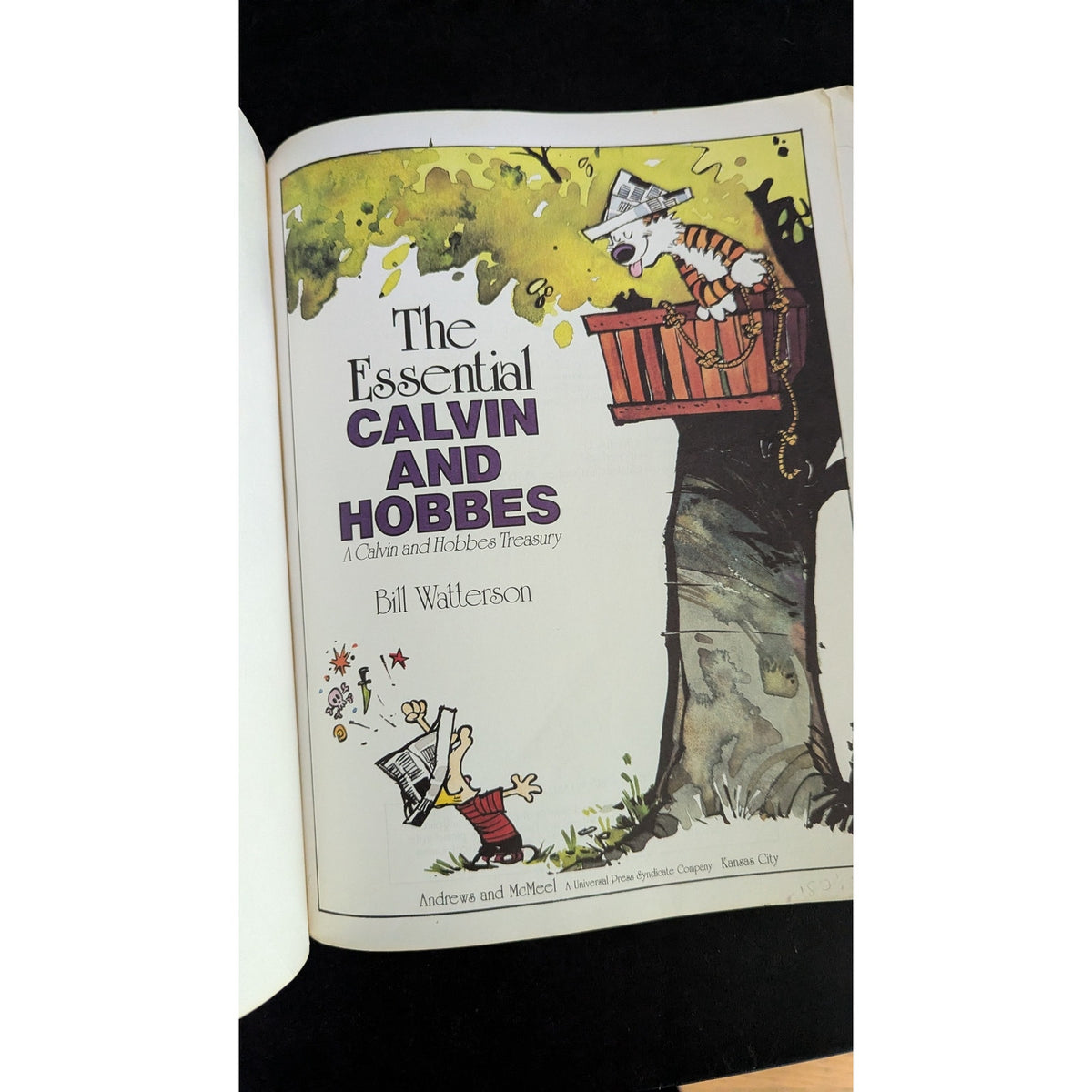 The Essential Calvin and Hobbes: A Calvin and Hobbes Treasury Paperback Book
